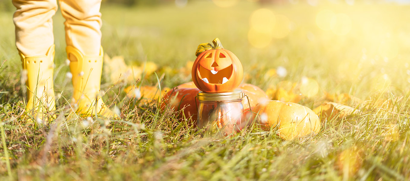 Happy Fall Pumpkin